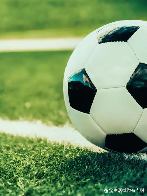 青少年体育教育使用即时比分007