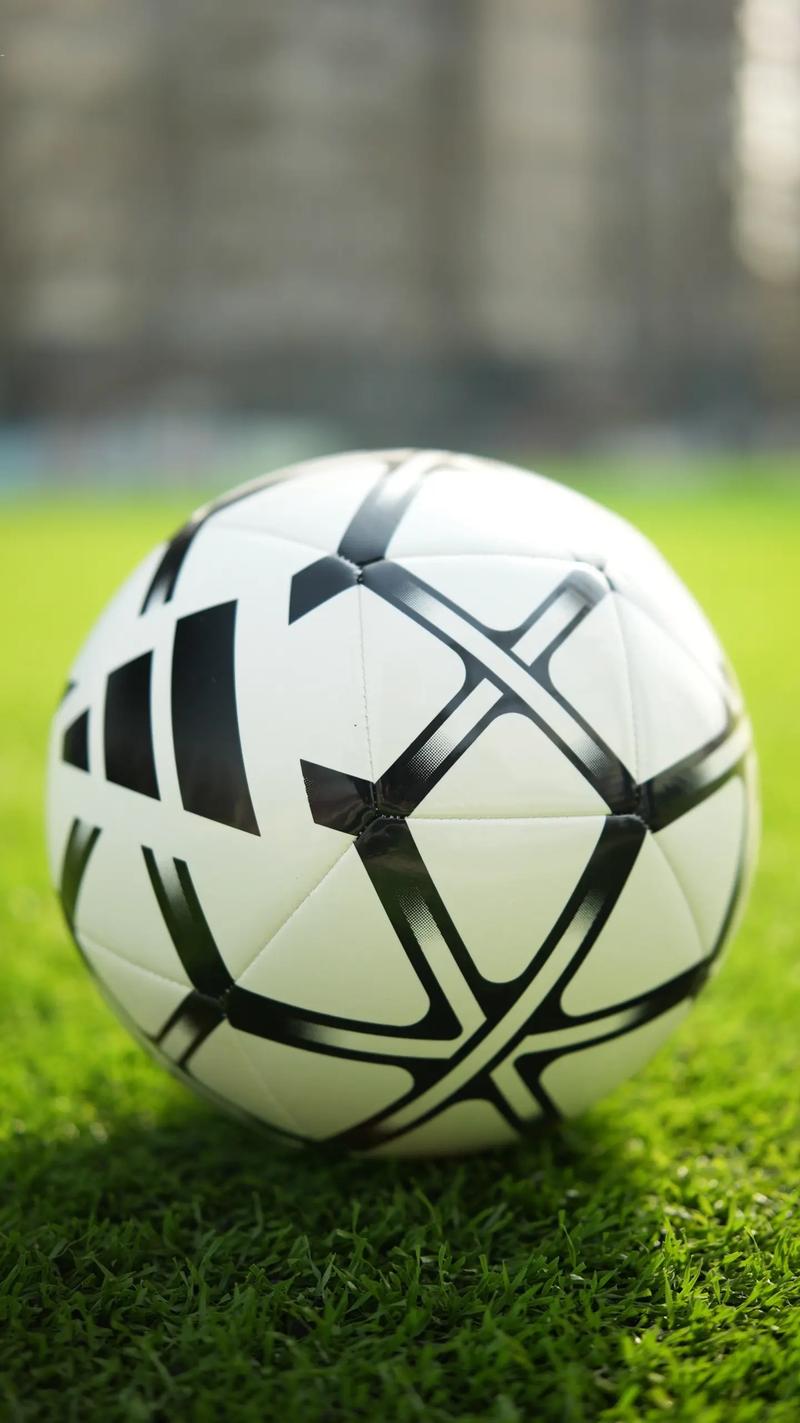 体育爱好者使用即时比分007